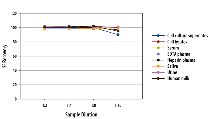 Human ErbB3/Her3 Linearity