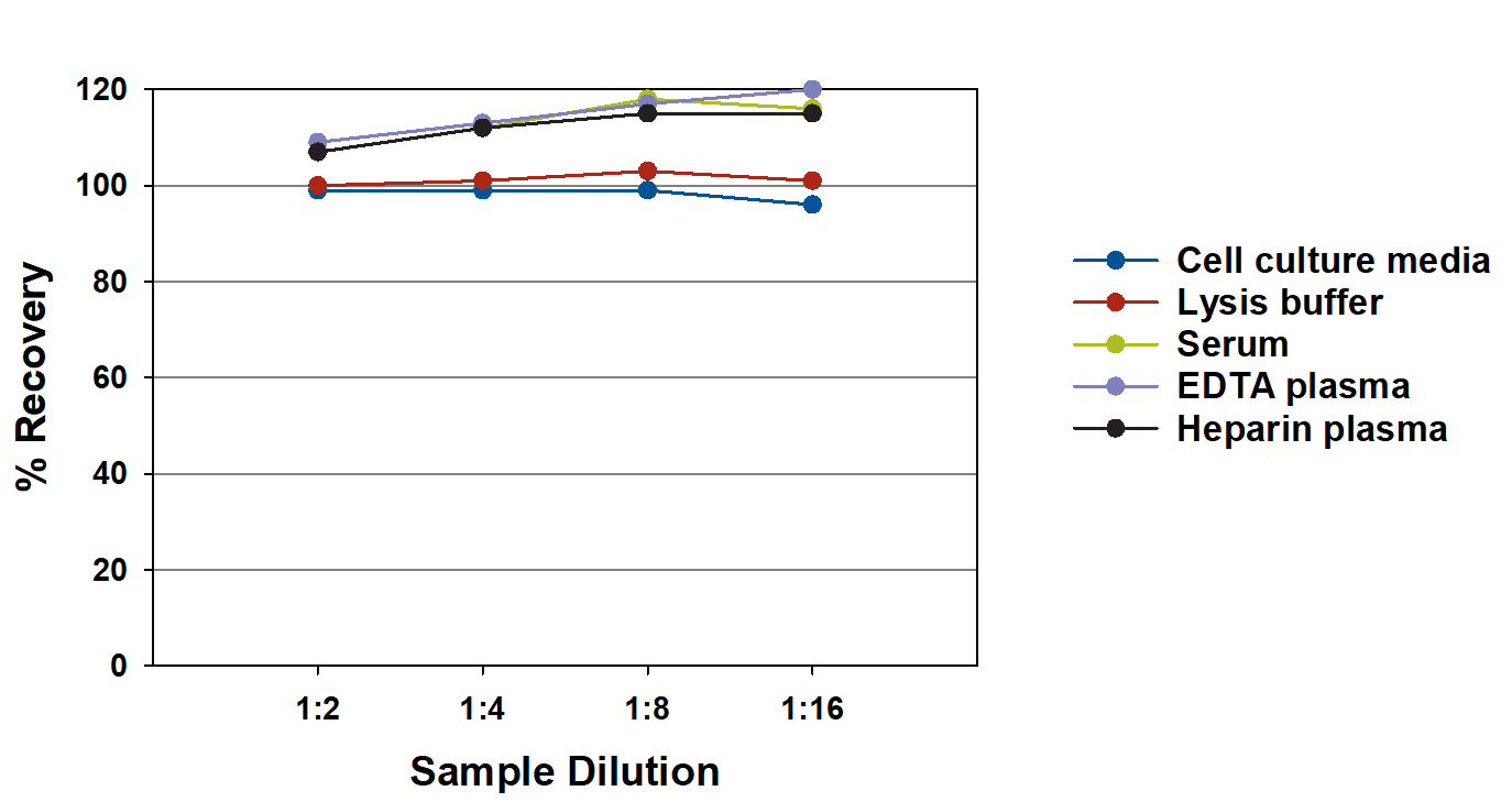 Human GDNF Linearity