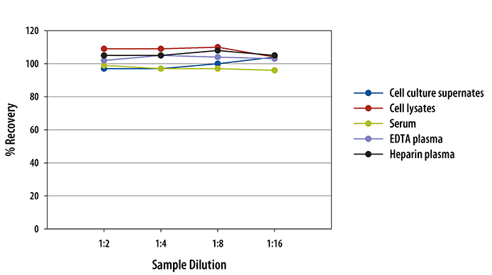 Mouse Gas6 ELISA Linearity