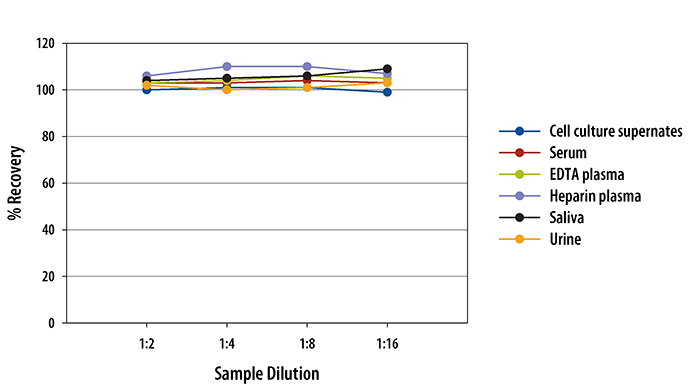 Human HE4/WFDC2 ELISA Linearity