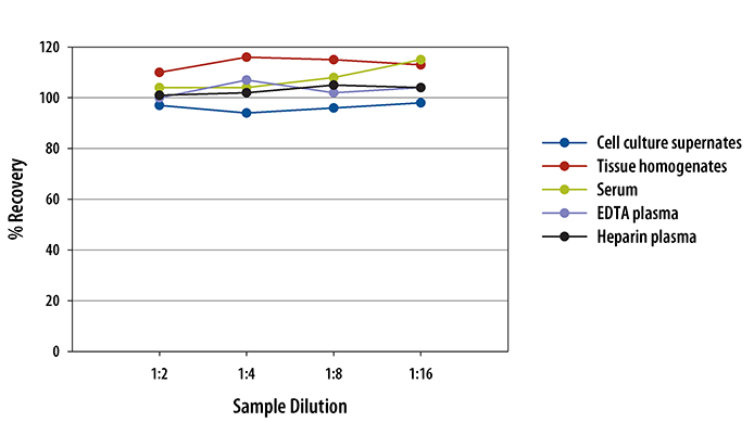 Mouse ICAM-1/CD54 ELISA Linearity