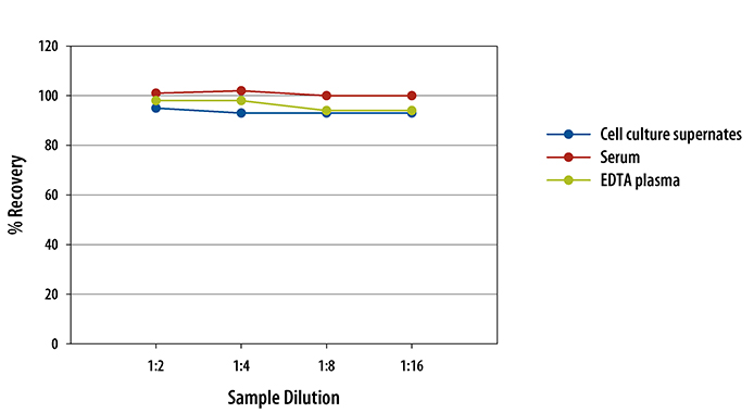 Rat ICAM-1/CD54 ELISA Linearity