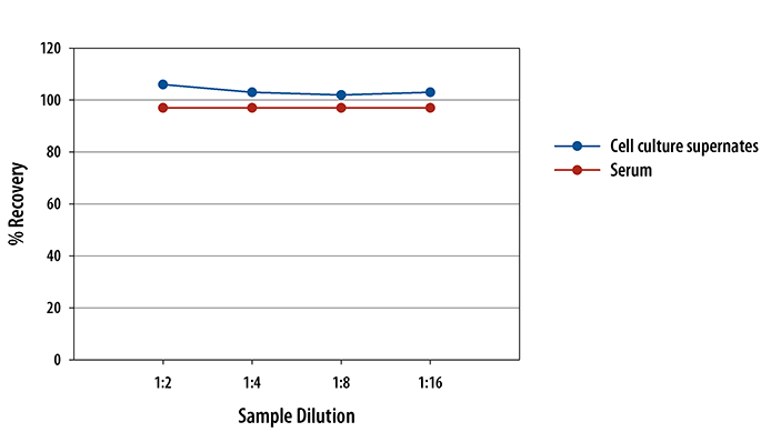 Mouse IFN-gamma ELISA Linearity