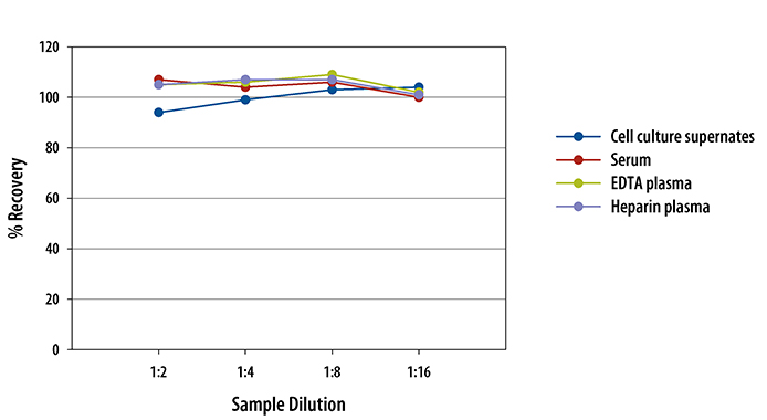 Porcine IFN-gamma ELISA Linearity