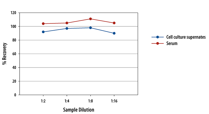 Rat IFN-gamma ELISA Linearity