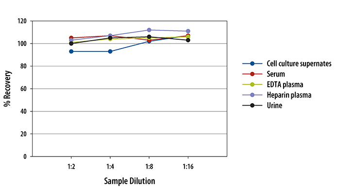 Human IGFBP-2 ELISA Linearity