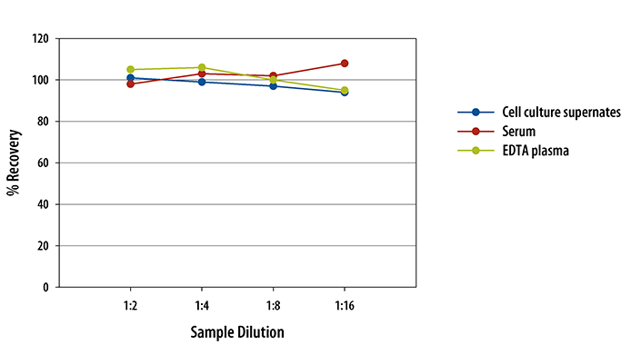 Rat IL-10 ELISA Linearity