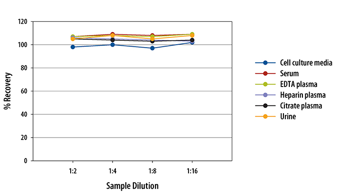 Human IL-12 p70 ELISA Linearity