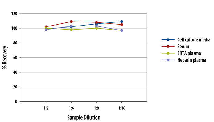 Human IL-12 p70 High Sensitivity ELISA Linearity
