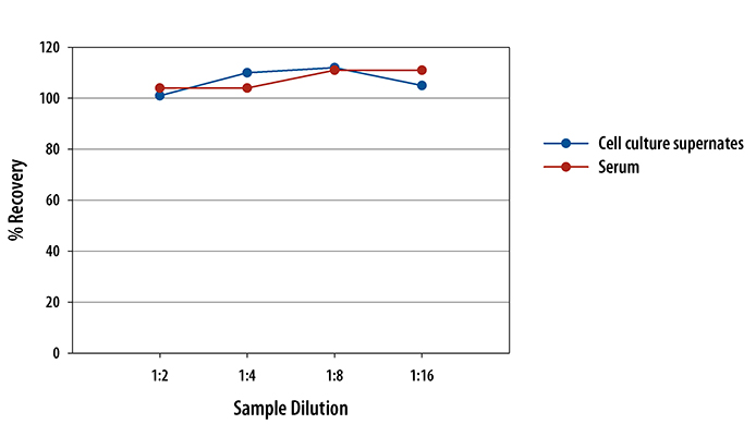 Mouse IL-12 p70 ELISA Linearity