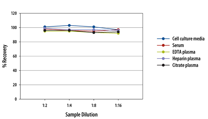 Human IL-12/IL-23 p40 Homodimer ELISA Linearity