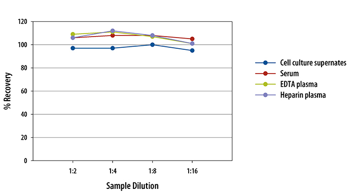 Porcine IL-12/IL-23 p40 ELISA Linearity