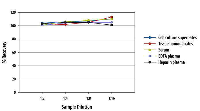 Mouse IL-13 R alpha 2 ELISA Linearity