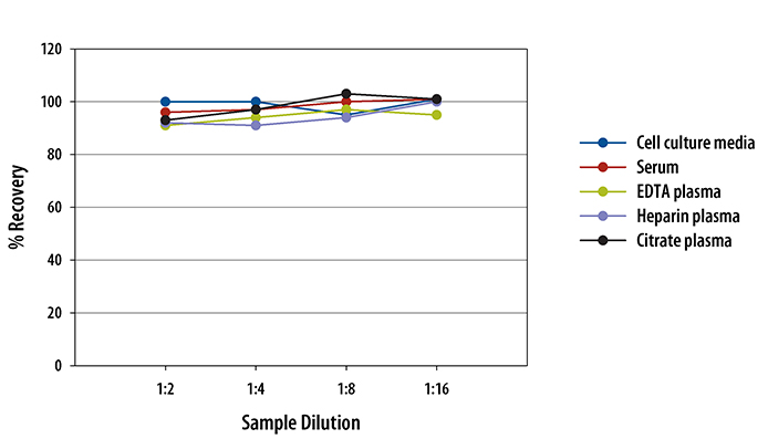 Human IL-17/IL-17A ELISA Linearity
