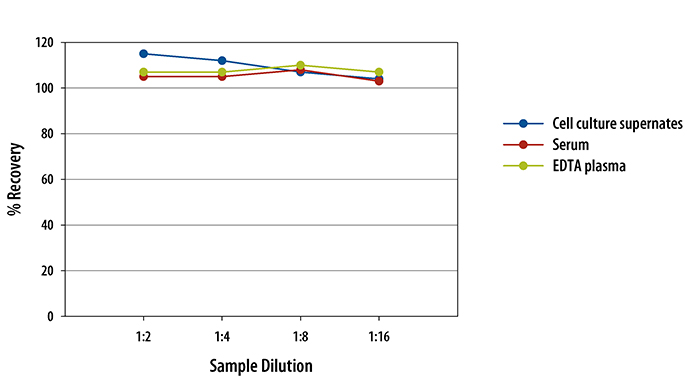 Rat IL-1 beta/IL-1F2 ELISA Linearity
