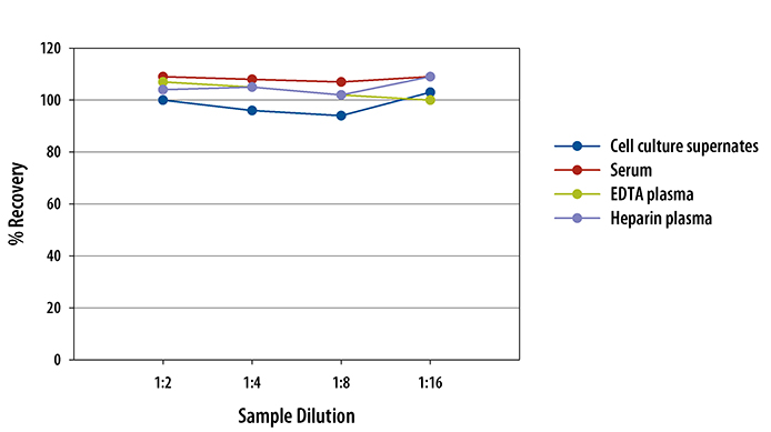 Mouse IL-27 p28/IL-30 ELISA Linearity