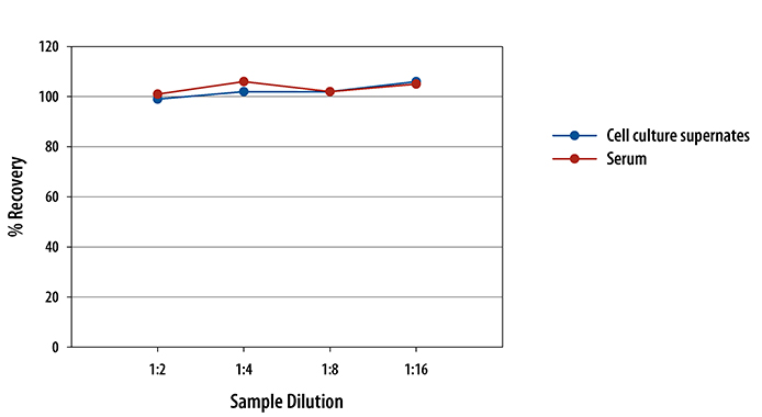 Rat IL-4 ELISA Linearity