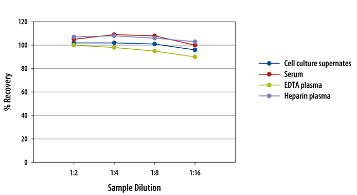 Canine IL-6 ELISA Linearity