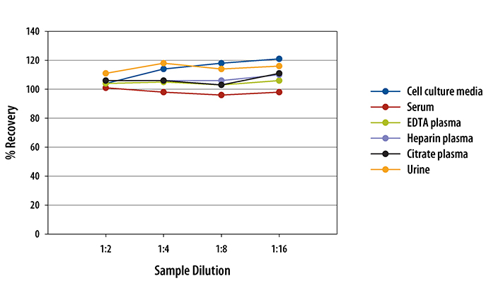 Human IL-6 R alpha ELISA Linearity
