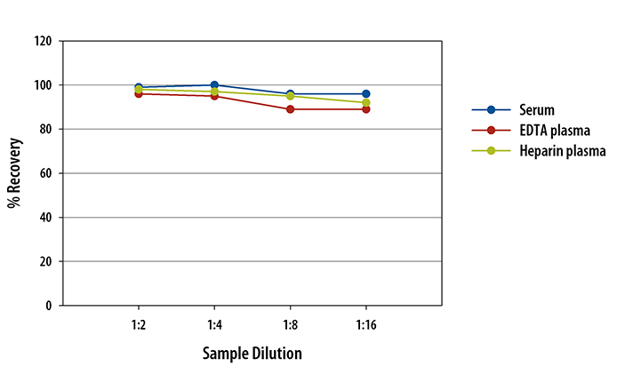 Human IL-17 ELISA Linearity