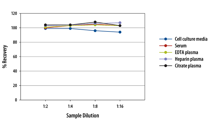 Human KGF/FGF-7 ELISA Linearity
