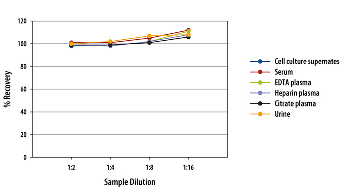Multi-species Total Nitric Oxide and Nitrate/Nitrite ELISA Linearity