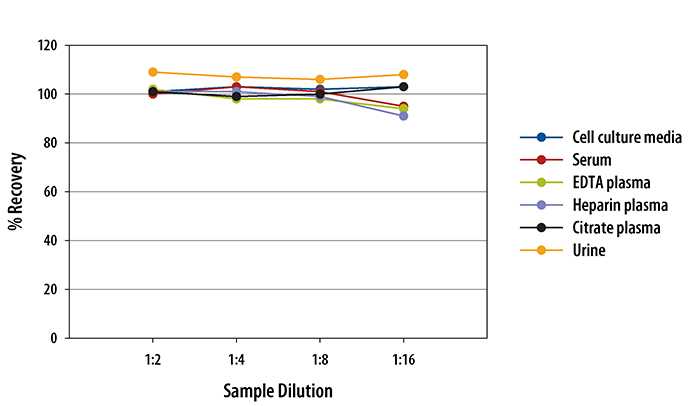 Human PlGF ELISA Linearity