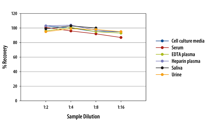 Human RBP4/Retinol-Binding Protein 4 ELISA Linearity