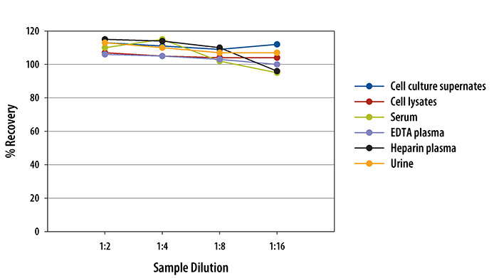 Mouse RBP4/Retinol-Binding Protein 4 ELISA Linearity