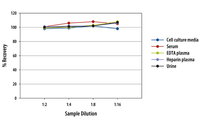 Human Renin ELISA Linearity