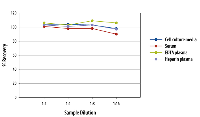 Human SP-D ELISA Linearity