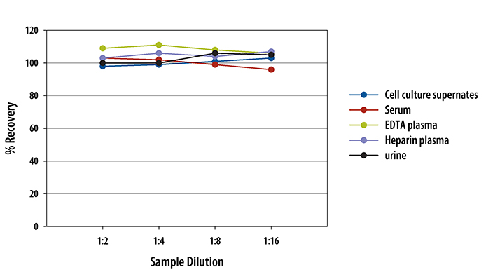Mouse KIM-1 ELISA Linearity