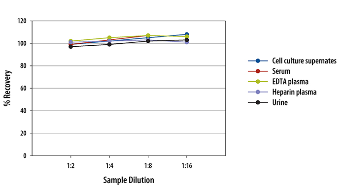 Rat TIM-1/KIM-1/HAVCR ELISA Linearity