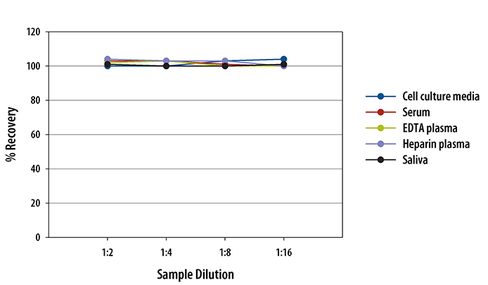 Human TIMP-1 ELISA Linearity