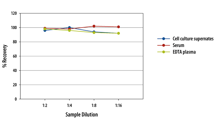 Rat TIMP-1 ELISA Linearity