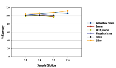 Human TIMP-2 Linearity