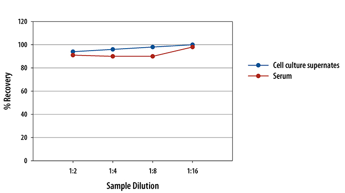 Mouse TRANCE/TNFSF11/RANK L ELISA Linearity