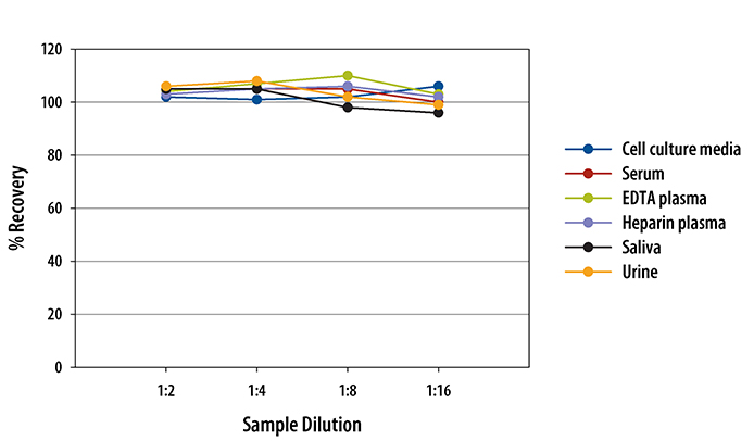 Human Uteroglobin/SCGB1A1 ELISA Linearity
