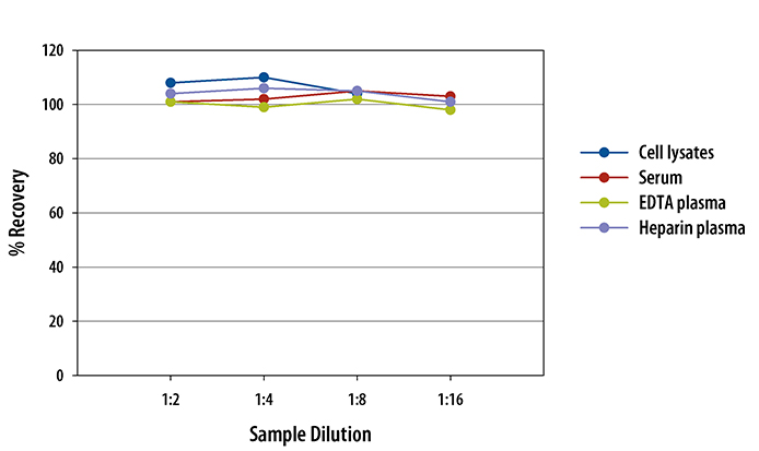 Human VEGF R2/KDR/Flk-1 ELISA Linearity