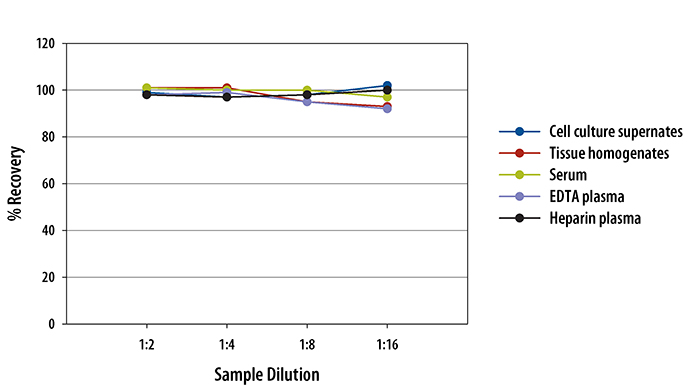 Mouse VEGF R2/KDR/Flk-1 ELISA Linearity