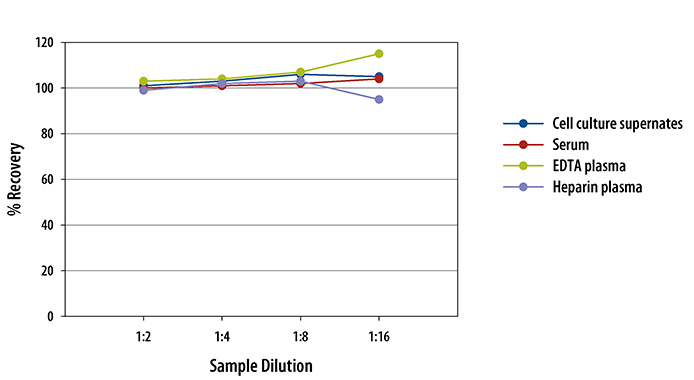 Rat VEGF ELISA Linearity