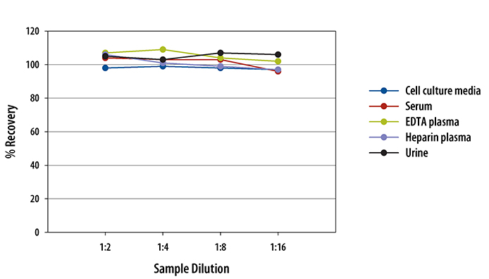 Human alpha 1-Acid Glycoprotein ELISA Linearity