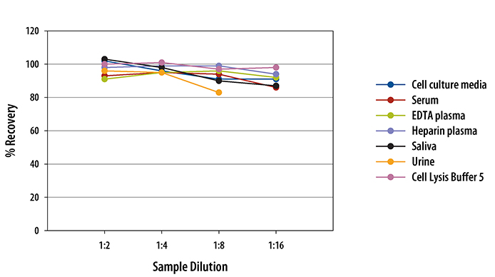 Multi-species cAMP ELISA Linearity