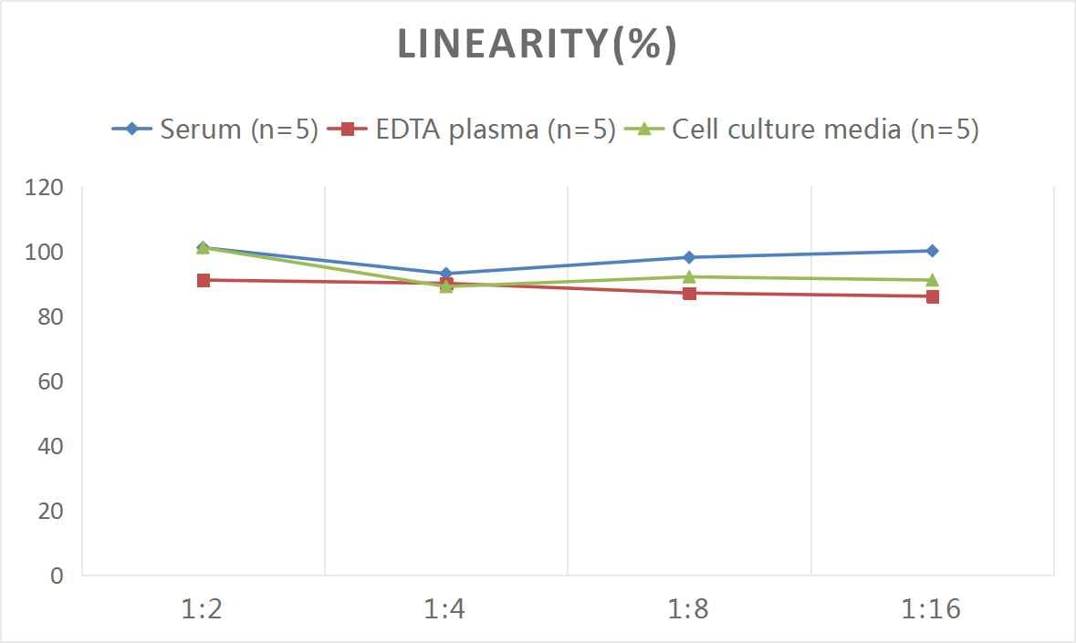 Monkey Choriogonadotropin Subunit Beta ELISA Kit (Colorimetric)