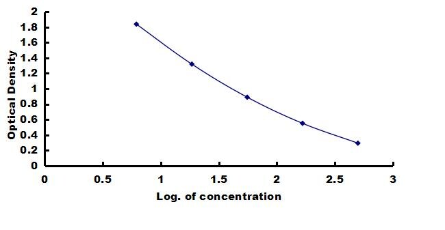 Human CALCB ELISA Kit (Colorimetric) ELISA: Human CALCB ELISA Kit (Colorimetric) [NBP3-42231]