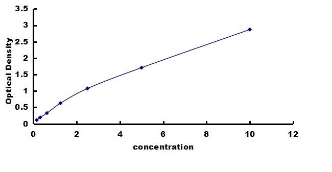 Mouse CRBN ELISA Kit (Colorimetric) ELISA: Mouse CRBN ELISA Kit (Colorimetric) [NBP3-42240]
