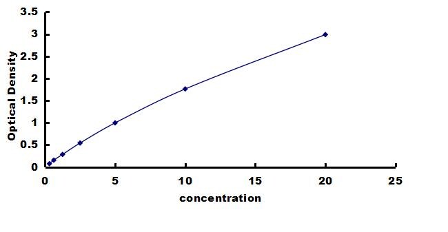 Porcine Leptin/OB ELISA Kit (Colorimetric) ELISA: Porcine Leptin/OB ELISA Kit (Colorimetric) [NBP3-42261]