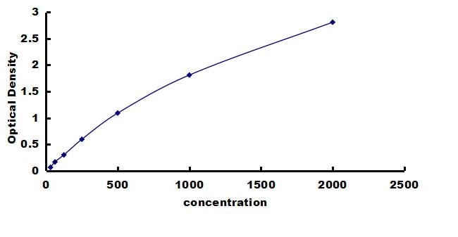 Rat BDNF ELISA Kit (Colorimetric) ELISA: Rat BDNF ELISA Kit (Colorimetric) [NBP3-42309]