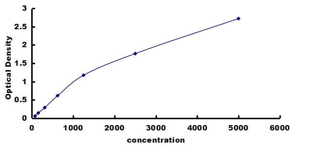 Rat Rac1 ELISA Kit (Colorimetric) ELISA: Rat Rac1 ELISA Kit (Colorimetric) [NBP3-42313]