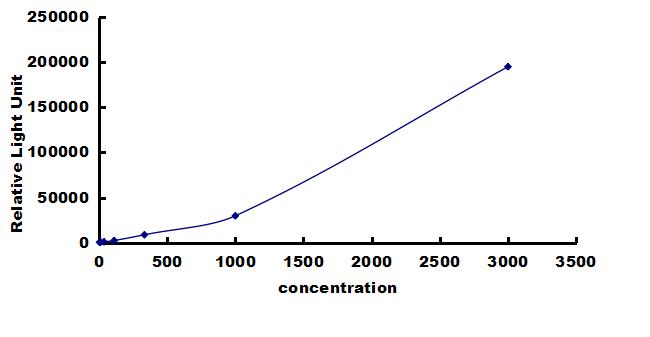 Rat CXCL7/NAP-2 ELISA Kit (Chemiluminescence) ELISA: Rat CXCL7/NAP-2 ELISA Kit (Chemiluminescence) [NBP3-42389]